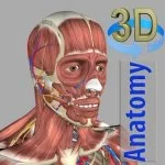 3D Anatomy MOD APK