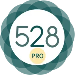 528 Player Pro MOD APK