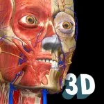 Anatomy Learning - 3D Anatomy Atlas MOD APK