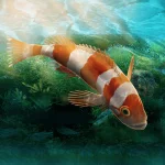 Aquarium Designer MOD APK