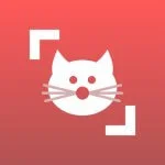 Cat Scanner MOD APK