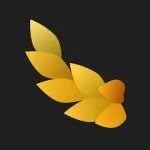 NYMF: Sensual Art Photos by David Dubnitskiy MOD APK