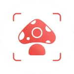 Picture Mushroom MOD APK