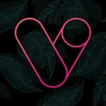 Vera Outline Icon Pack MOD APK